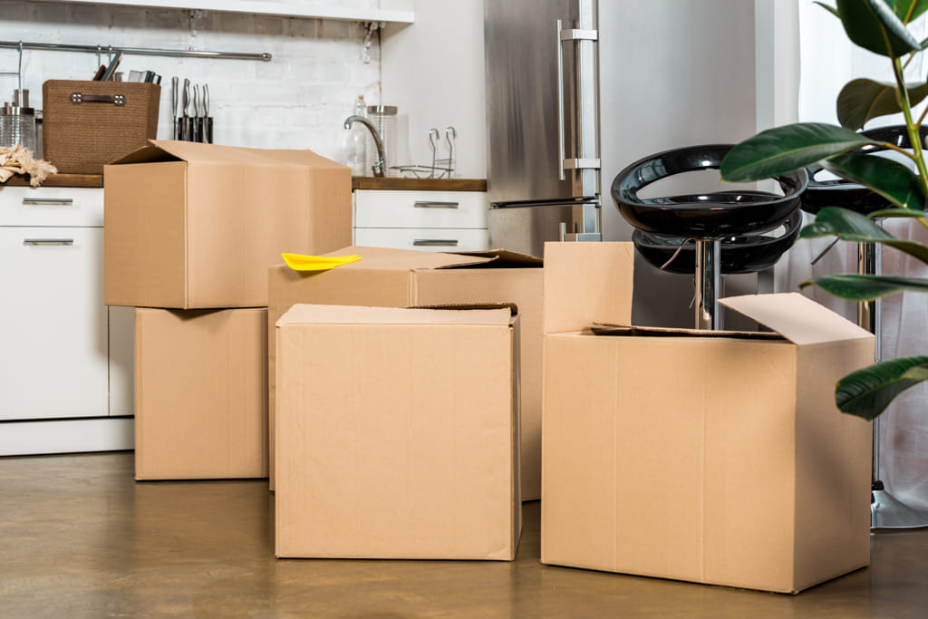 moving day